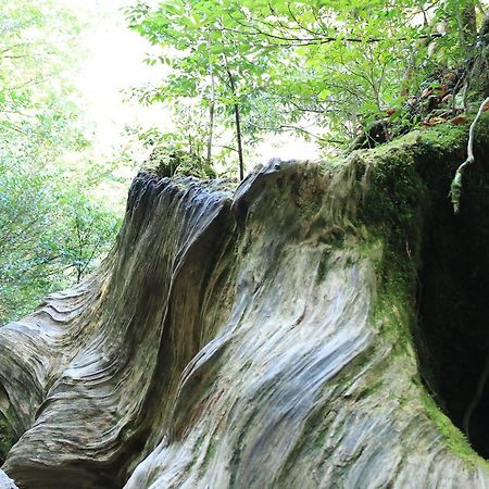 Miyanouraso Hotell Yakushima  Eksteriør bilde