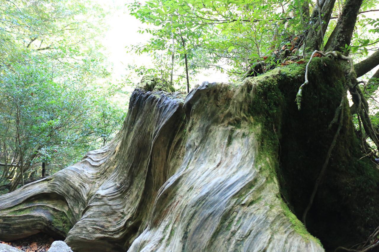 Miyanouraso Hotell Yakushima  Eksteriør bilde