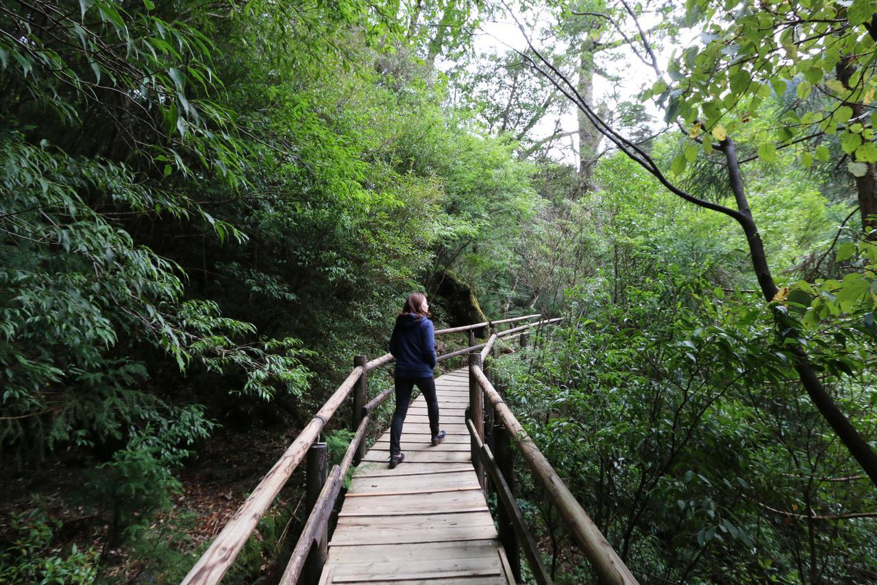 Miyanouraso Hotell Yakushima  Eksteriør bilde